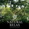 Download track Natural Relax