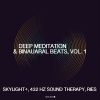 Download track Chakra Meditation, Pt. 1