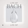 Download track Keyboard Concerto No. 1 In D Minor, BWV 1052- III. Allegro