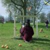 Download track Apples And Oranges (Stereo Version) [Pink Floyd]