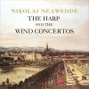 Download track Concerto No. 1 In D Major For Flute And Orchestra: I. Allegro