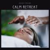 Download track Soothing Massage Music
