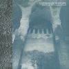 Download track Bright Shadows
