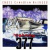 Download track Back Around