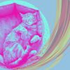 Download track Terrific Music For Comfy Cats