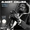 Download track Conversation With Collins