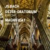 Download track Magnificat In D Major, Bwv 243 II. Et Exultavit Spiritus Meus