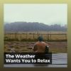 Download track Rain Is Refreshing