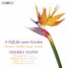Download track Trio Sonata No. 1 In B Minor, HWV 386b- II. Allegro Ma Non Troppo