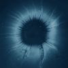 Download track Refractive