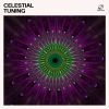 Download track Deep Relaxation Sounds