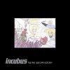 Download track Pantomime