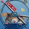 Download track Dead Hamster Code