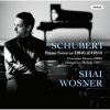 Download track 8. Piano Sonata In D Major D850 - IV. Rondo: Allegro Moderato
