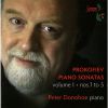 Download track No. 4 In C Minor, Op. 29: I. Allegro Molto Sostenuto