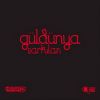 Download track Neyse