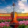 Download track 5. III. Allegro Vivace