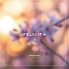 Download track Felicita (BORCHiLL Remix)
