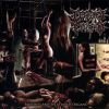 Download track The Pleasure Of The Absolute Domain