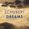 Download track String Quartet No. 10 In E Flat Major, D. 87: 3. Adagio