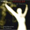 Download track 1. Stabat Mater Hymn For Voice Strings Continuo In F Minor RV 621: I. Stabat Mater Dolorosa Alto 2 Violins Viola Violoncello Double Bass Theorbo Harpsichord Organ Percussion