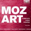 Download track Piano Sonata No. 10 In C Major, KV. 330 I. Allegro Moderato