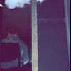 Download track Lost And Confused