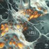 Download track Come From