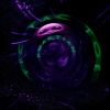 Download track Butterfly Doors