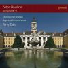 Download track 01. Symphony No. 6 In A Major, WAB 106- I. Majestoso