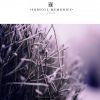 Download track Labyrinth Of Thoughts (Aleja Sanchez Remix)