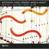 Download track 1. Piano Sonata In D Minor Op. 312 Tempest - I. Largo - Allegro