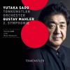 Download track Symphony No. 2 In C Minor Resurrection' - II. Andante Moderato (Live)