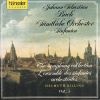 Download track Nach Dir, Herr, Verlanget Mich, BWV 150: No. 1, Sinfonia