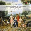 Download track 12 - Sonata For Chalumeau And Basso Continuo In B-Flat Major - I. Adagio