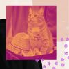 Download track Smart Home With Cats