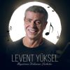 Download track Bir Kulunu Çok Sevdim