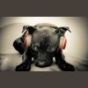 Download track Dernière Danse (Hector Remix)