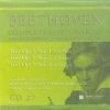 Download track III. Scherzo: Allegro
