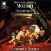 Download track 16. Divertimento N°13 En Fa Majeur KV 253 1776: 1c. Variation 3