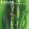 Download track Relaxing Music To Help Fall Asleep