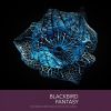 Download track Have A Little Sympathy