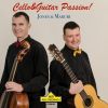 Download track 03. Allegro Moderato