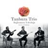 Download track Flute Sonata İn E-Flat Major, BWV 1031 Iı. Siciliano Arr. For 3 Tanbura