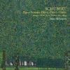 Download track Piano Sonata No. 16 In A Minor, D. 845: IV. Rondo: Allegro Vivace