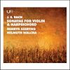 Download track Violin Sonata In B Minor, BWV 1014 II. Allegro