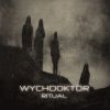 Download track Nocturne