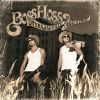 Download track Like Ice In The Sunshine