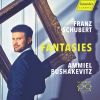 Download track Wanderer Fantasy In C Major, Op. 15, D. 760: III. Presto
