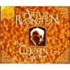 Download track Piano Concerto No. 1 In E - Moll, Op. 11 - I. Allegro Maestoso